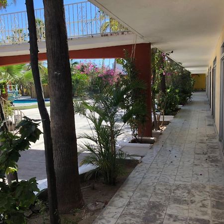 Hotel Calafia La Paz Bagian luar foto