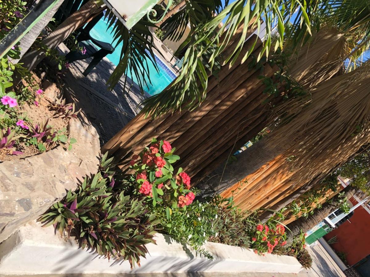 Hotel Calafia La Paz Bagian luar foto